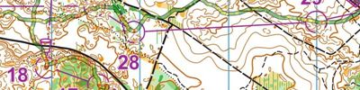 2017 World Masters Orienteering Championships - Long Final. Map 2 of 2