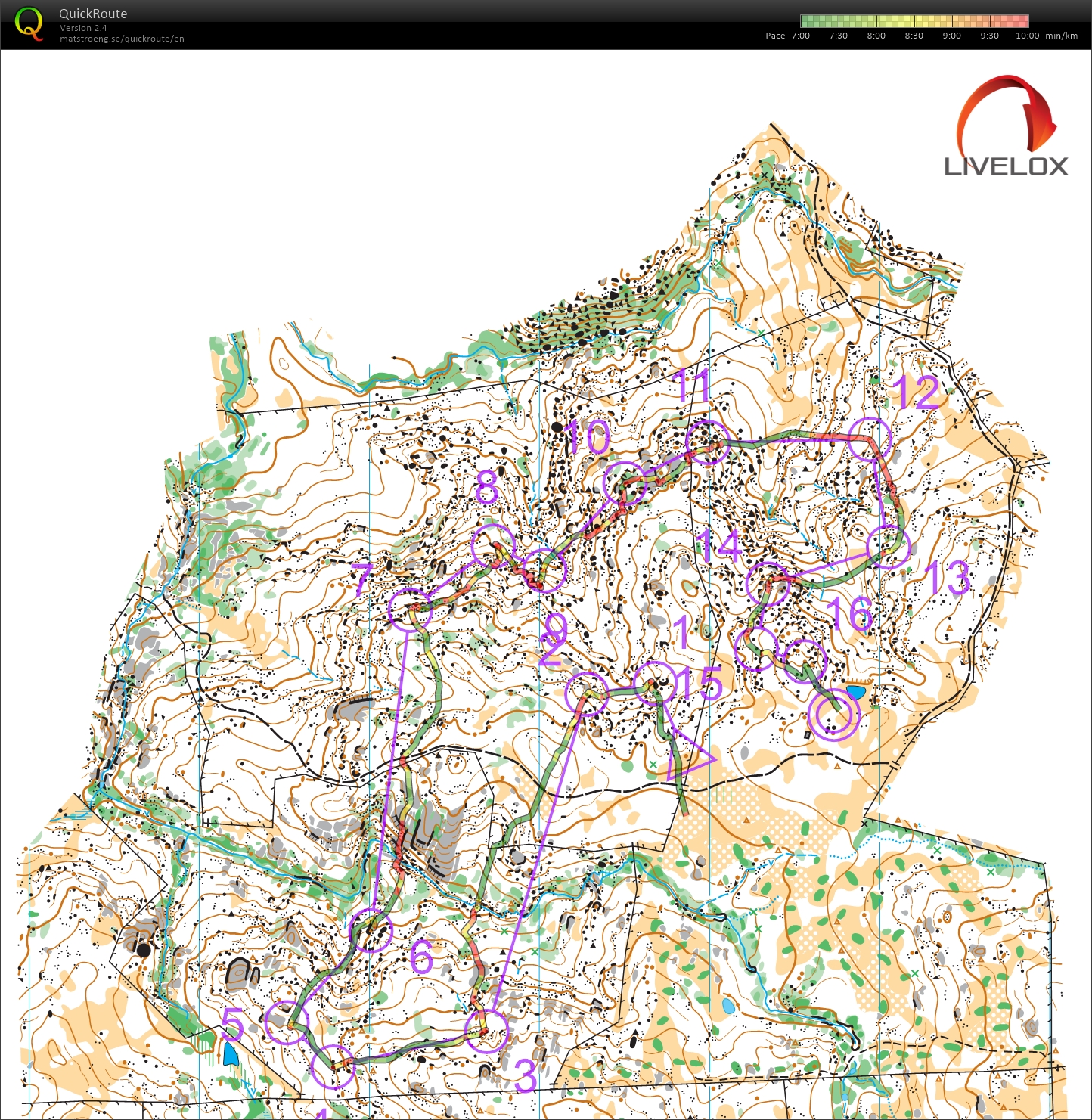 2024 Australian Championships Middle Distance (28-09-2024)