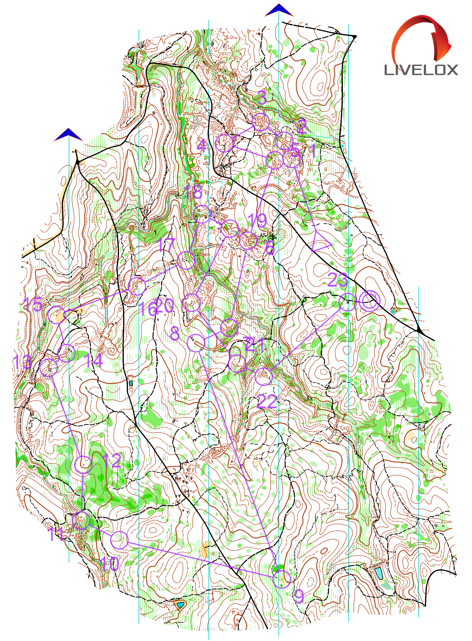 2025 Vic State Series 5 (08/06/2025)