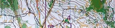 WMOC Forest qualifier (12/08/2025)