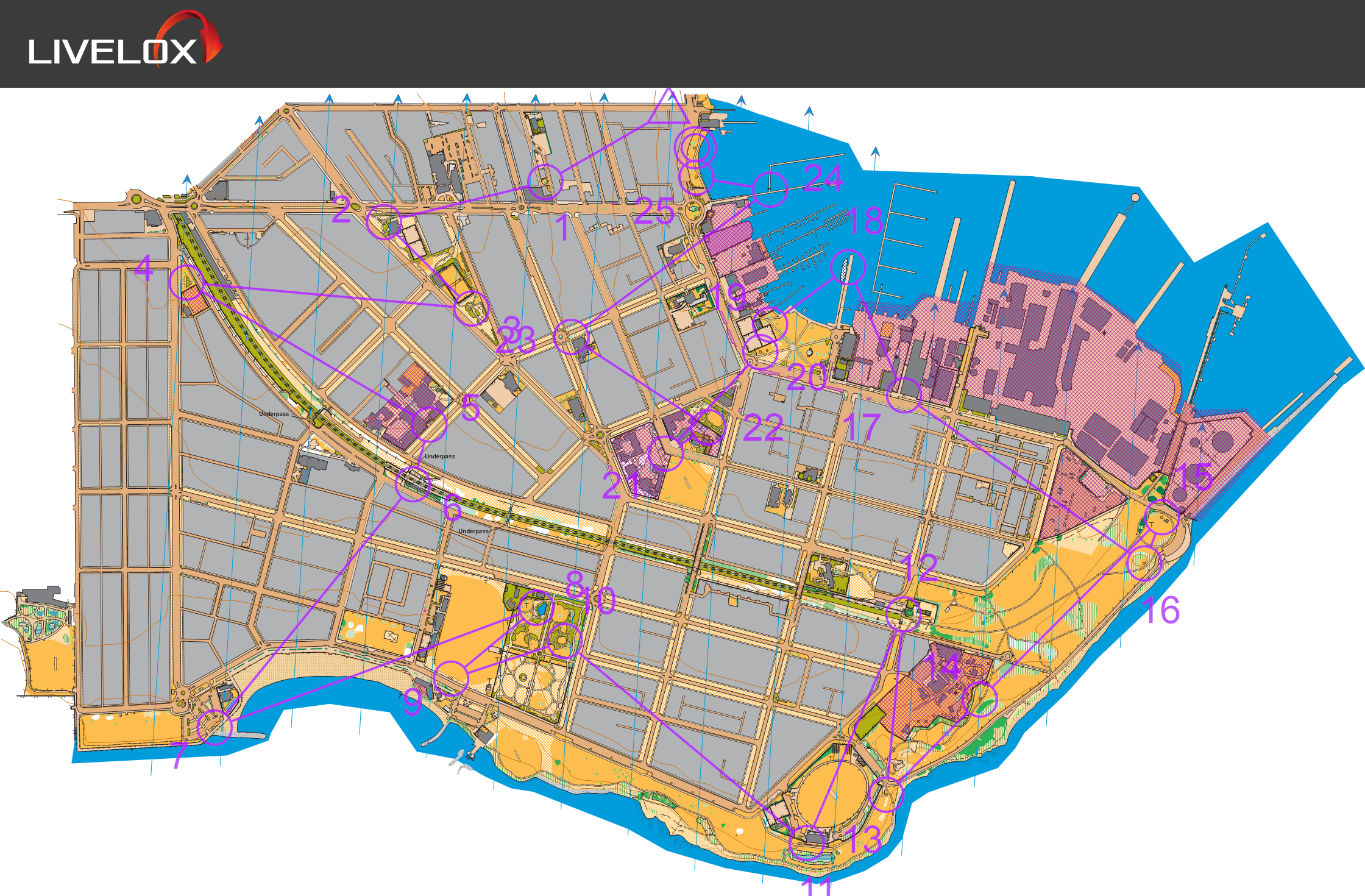 2025 Melbourne City Race (23-11-2025)